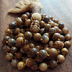 Earth Walker Picture Jasper Skull Mala