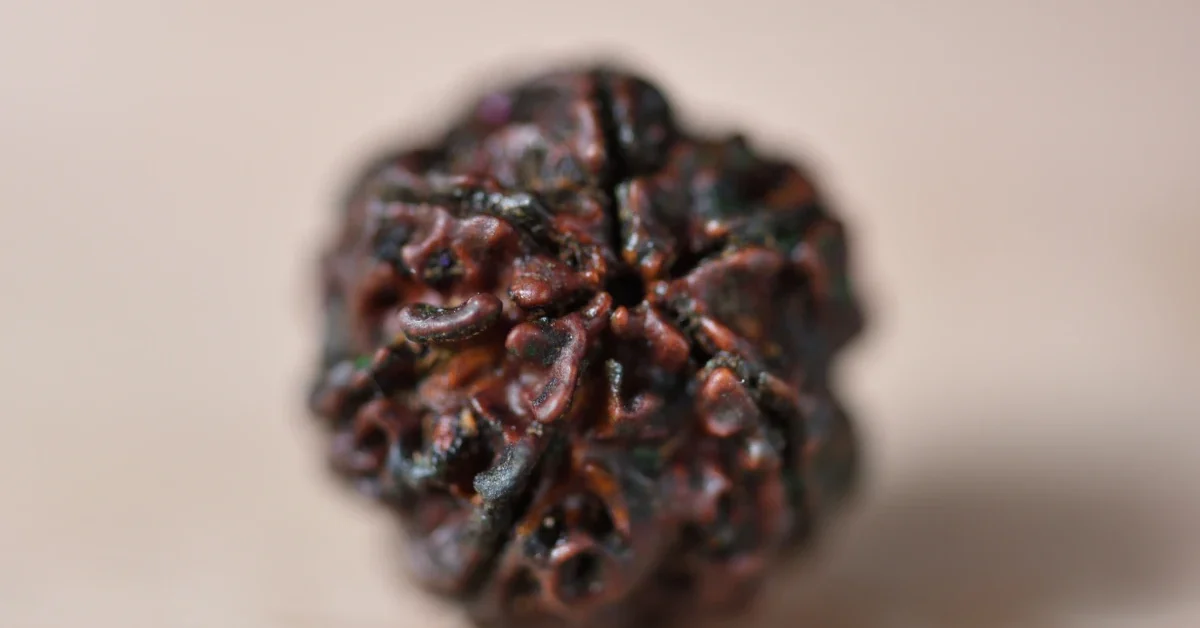 Tapping into the Power of Rudraksha (4)